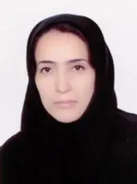 عسل نظری دفتری